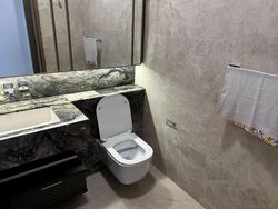 The Avenir (D9), Condominium #455444591